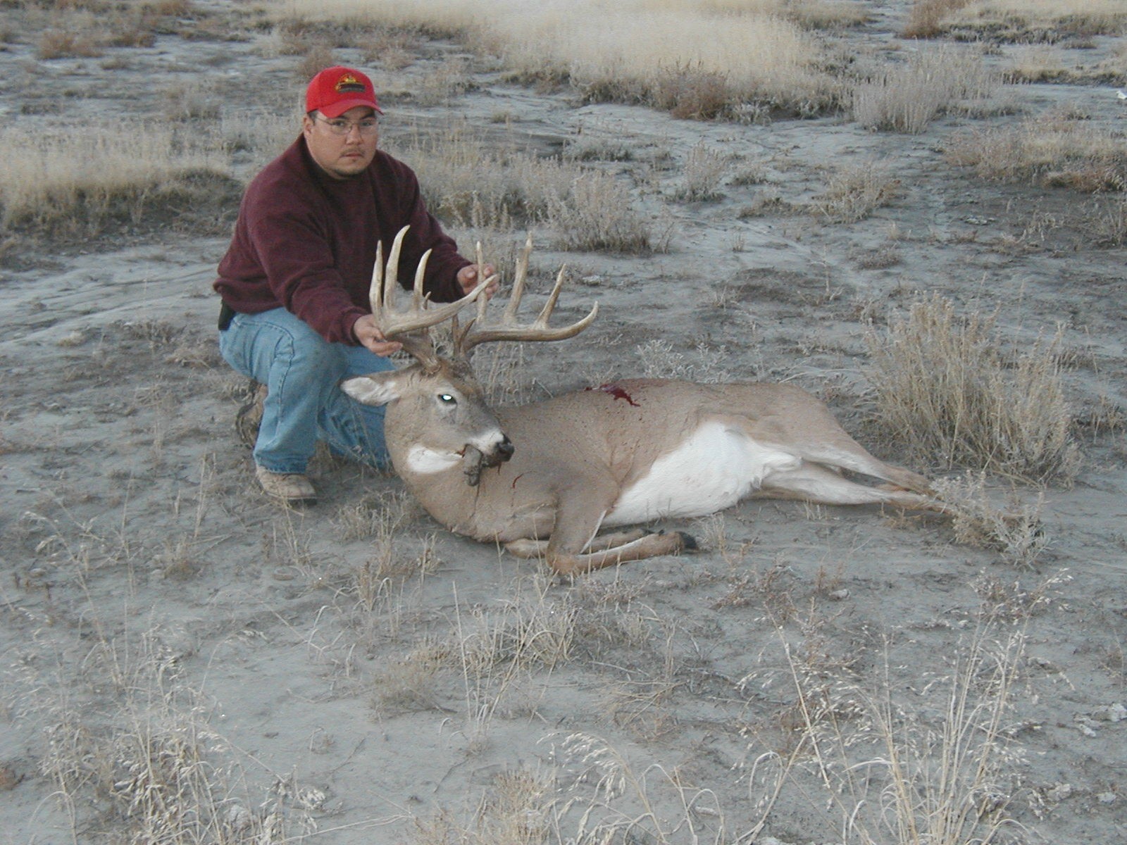 Trophy Whitetail Image