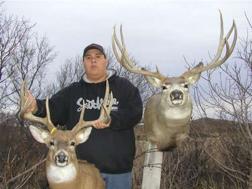 Trophy Bucks Image